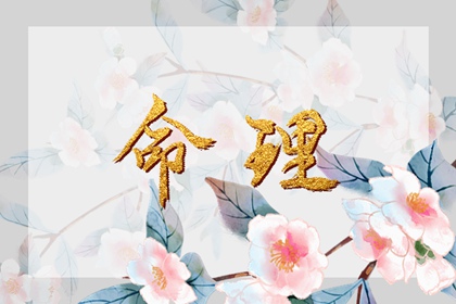 今日老黄历,黄历2025年网,中国老黄历吉日查询